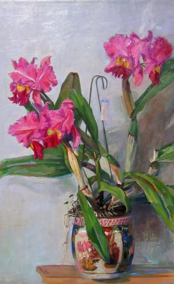 Still Life